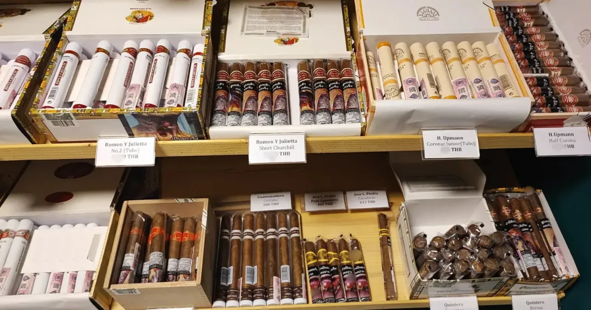 CNX Cigars humidor selection